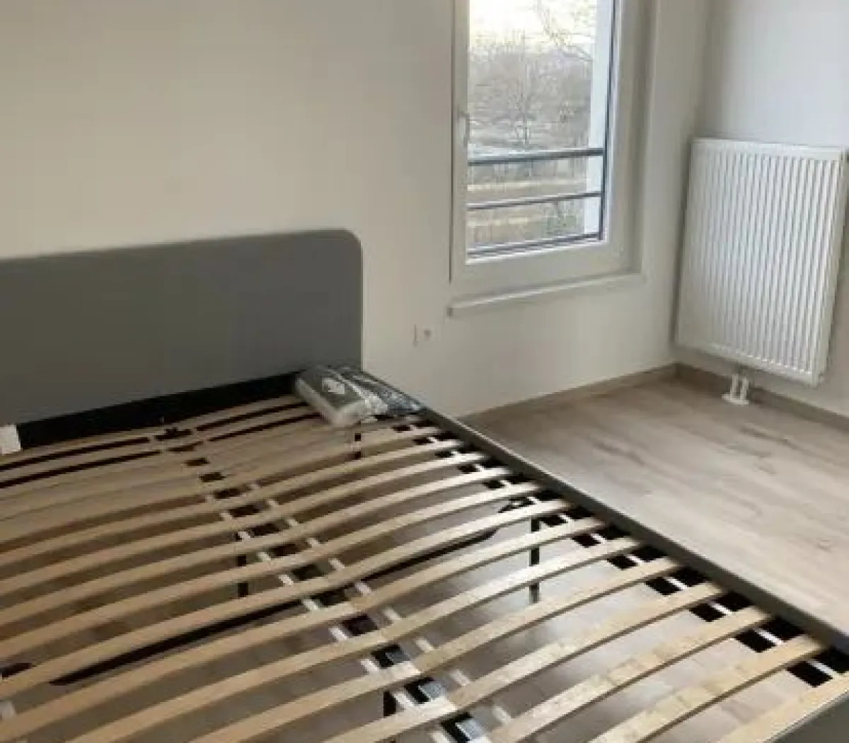 Location Strasbourg Appartement 00963d24