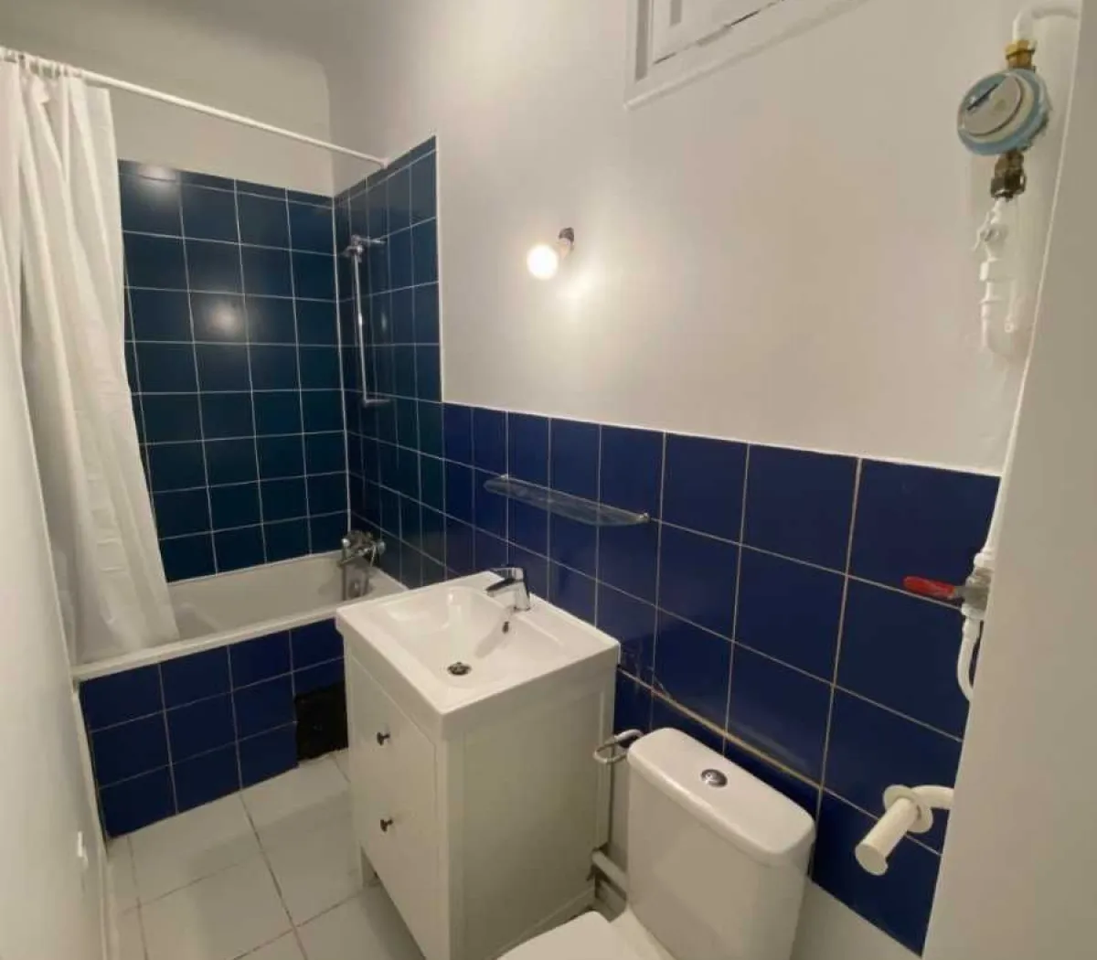 Location Lyon Appartement 01219790