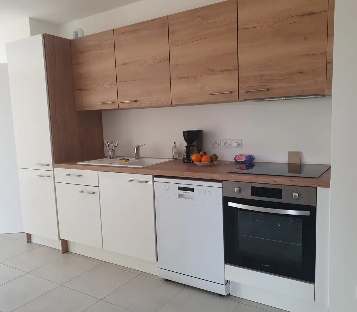 Location Villeurbanne Appartement 0359617b
