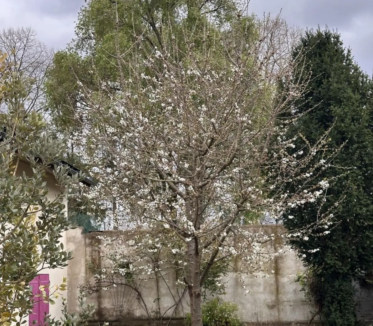 Location Saint-Ouen-l'Aumône Appartement 039a5901