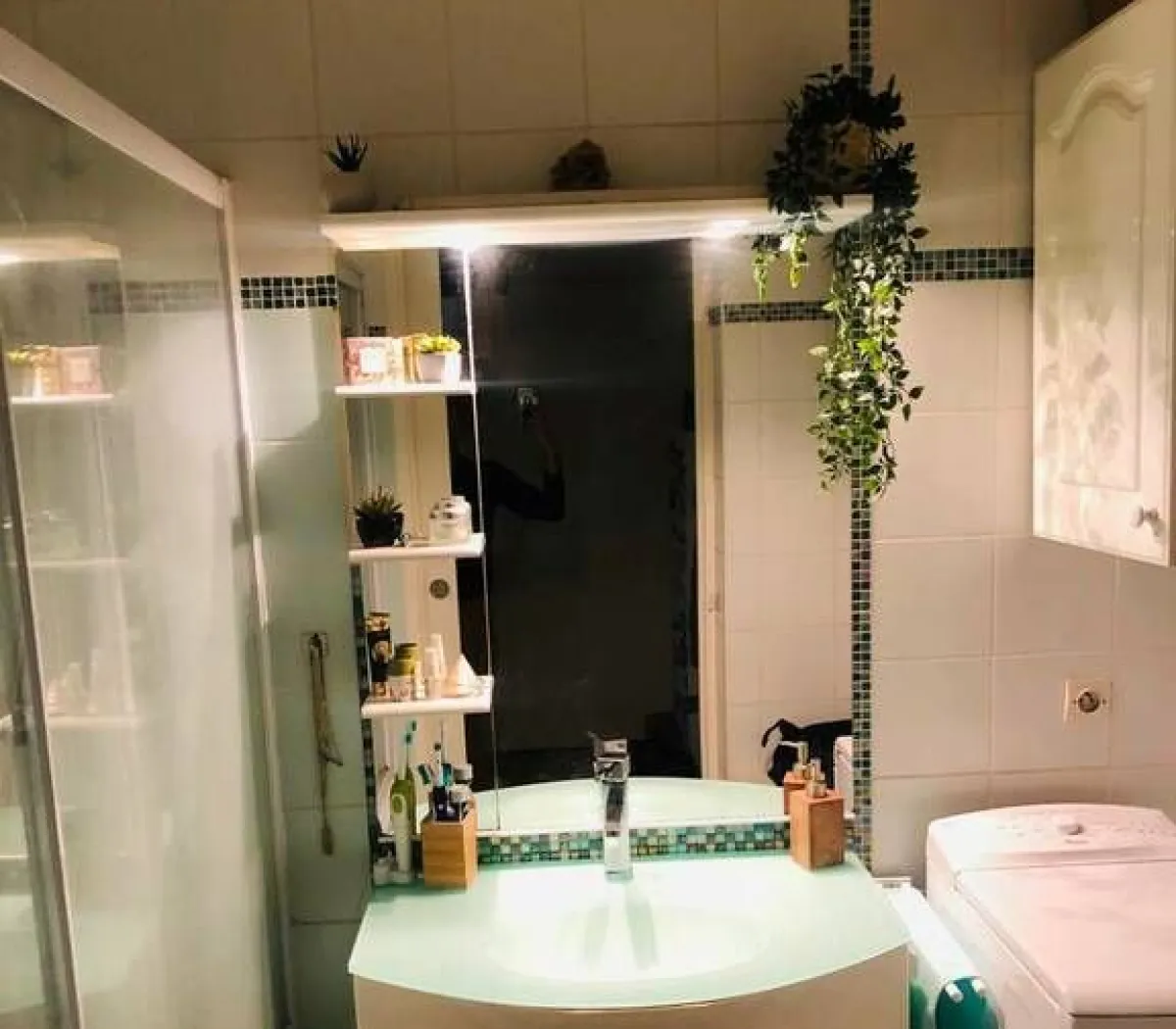 Location Vitry-sur-Seine Appartement 04004187