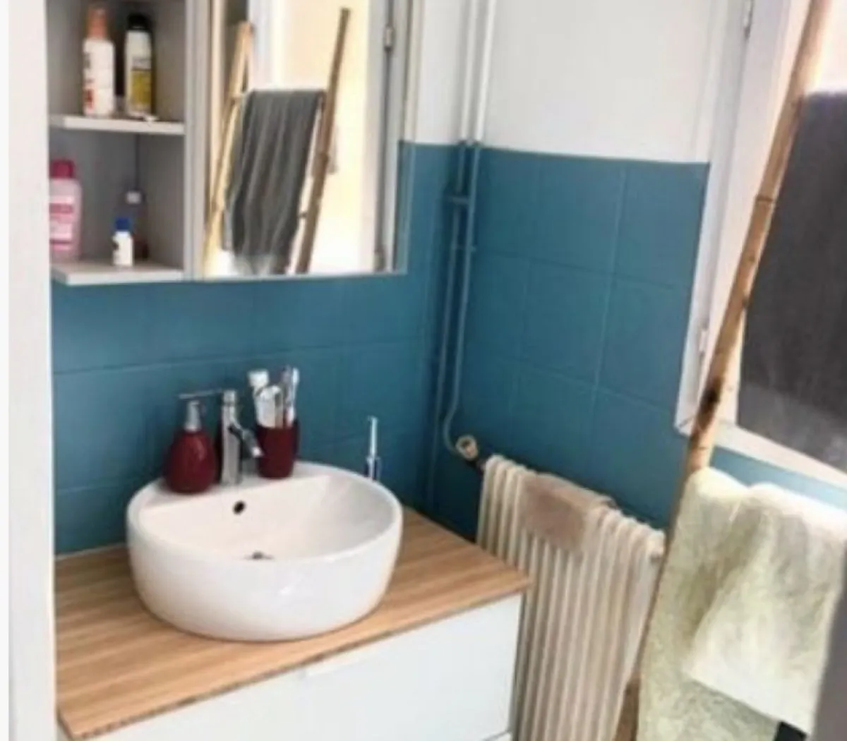 Location Le Kremlin-Bicêtre Appartement 04559892