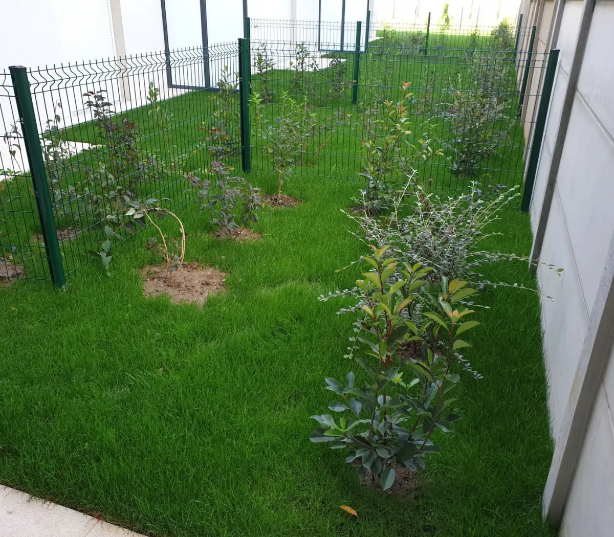 Location Thiais Appartement 0479e46a