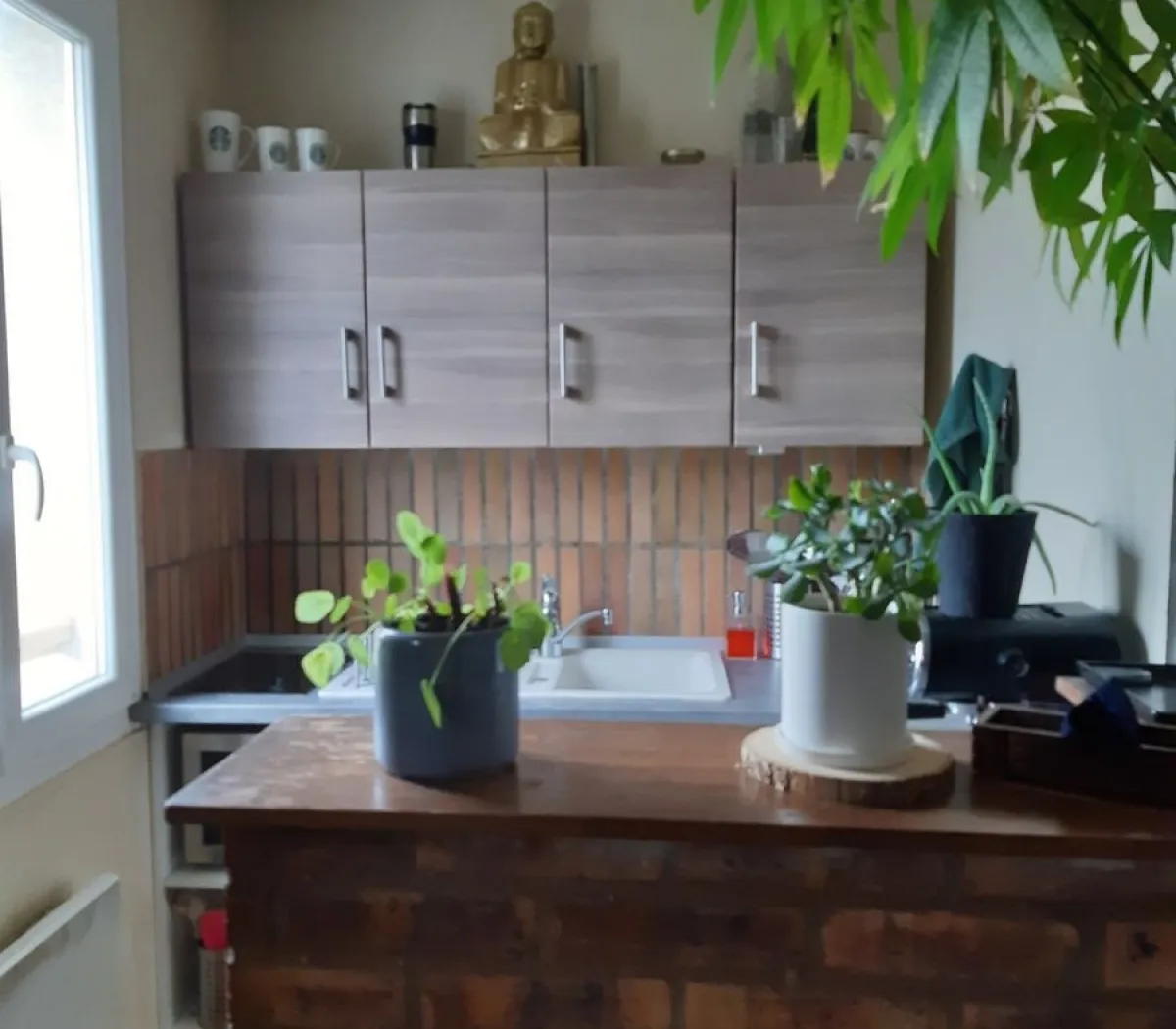 Location Bagneux Appartement 05d62d4c