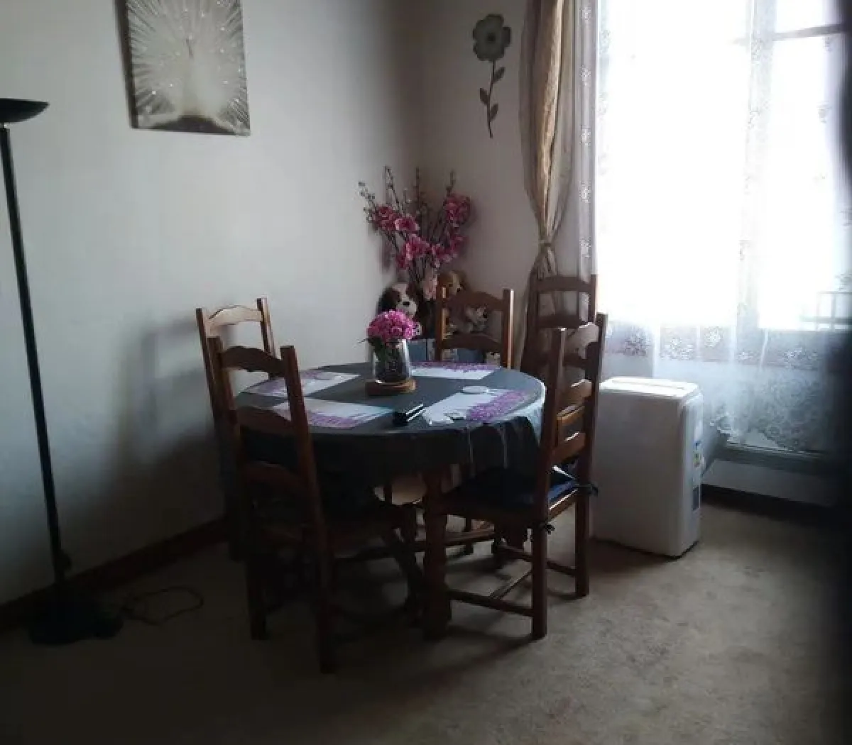 Location Villeurbanne Appartement 087c014e