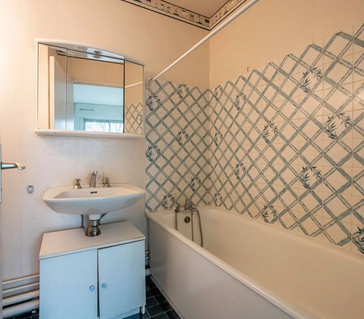 Location Saint-Maurice Appartement 0ad8a859