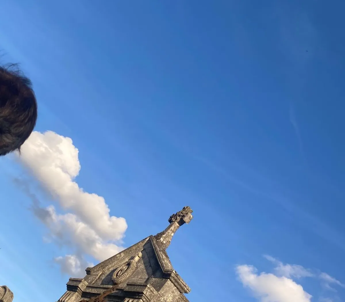 Location Toulouse Appartement 11d89e4b