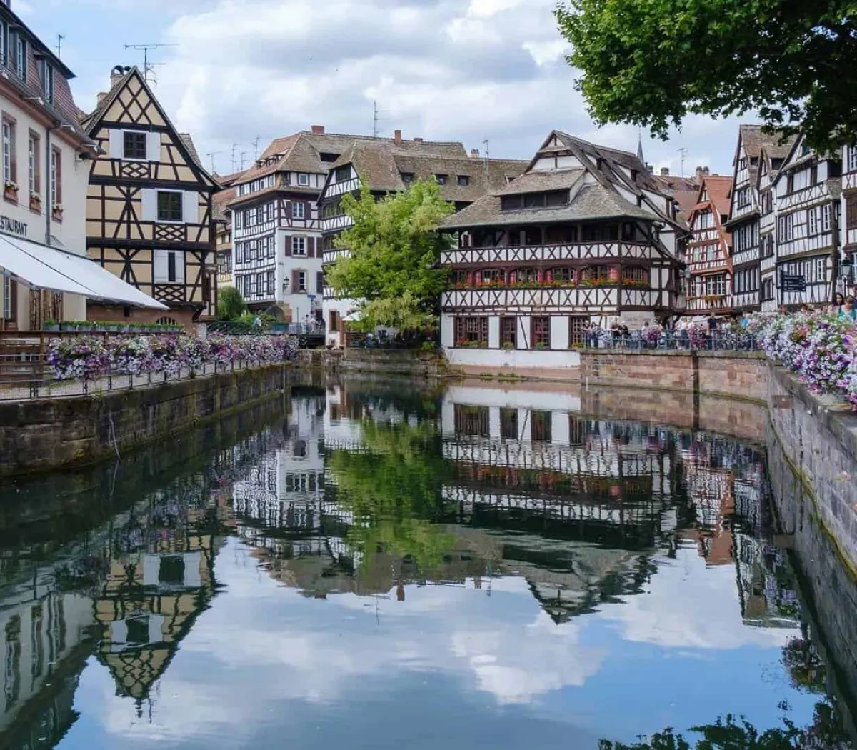 Location Strasbourg Appartement 138e85eb