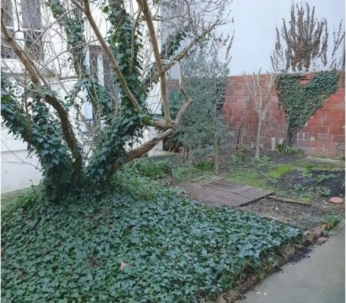 Location Paris Appartement 141205ba