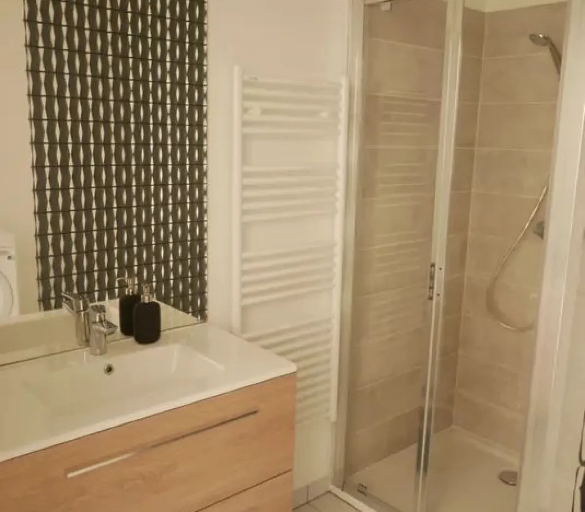 Location Annemasse Appartement 163ecb5a