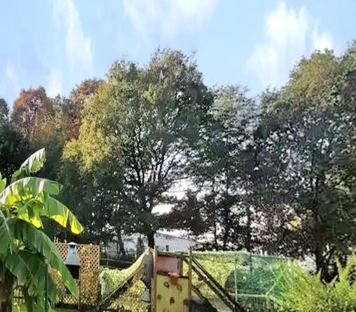 Location Vannes Maison 18787961