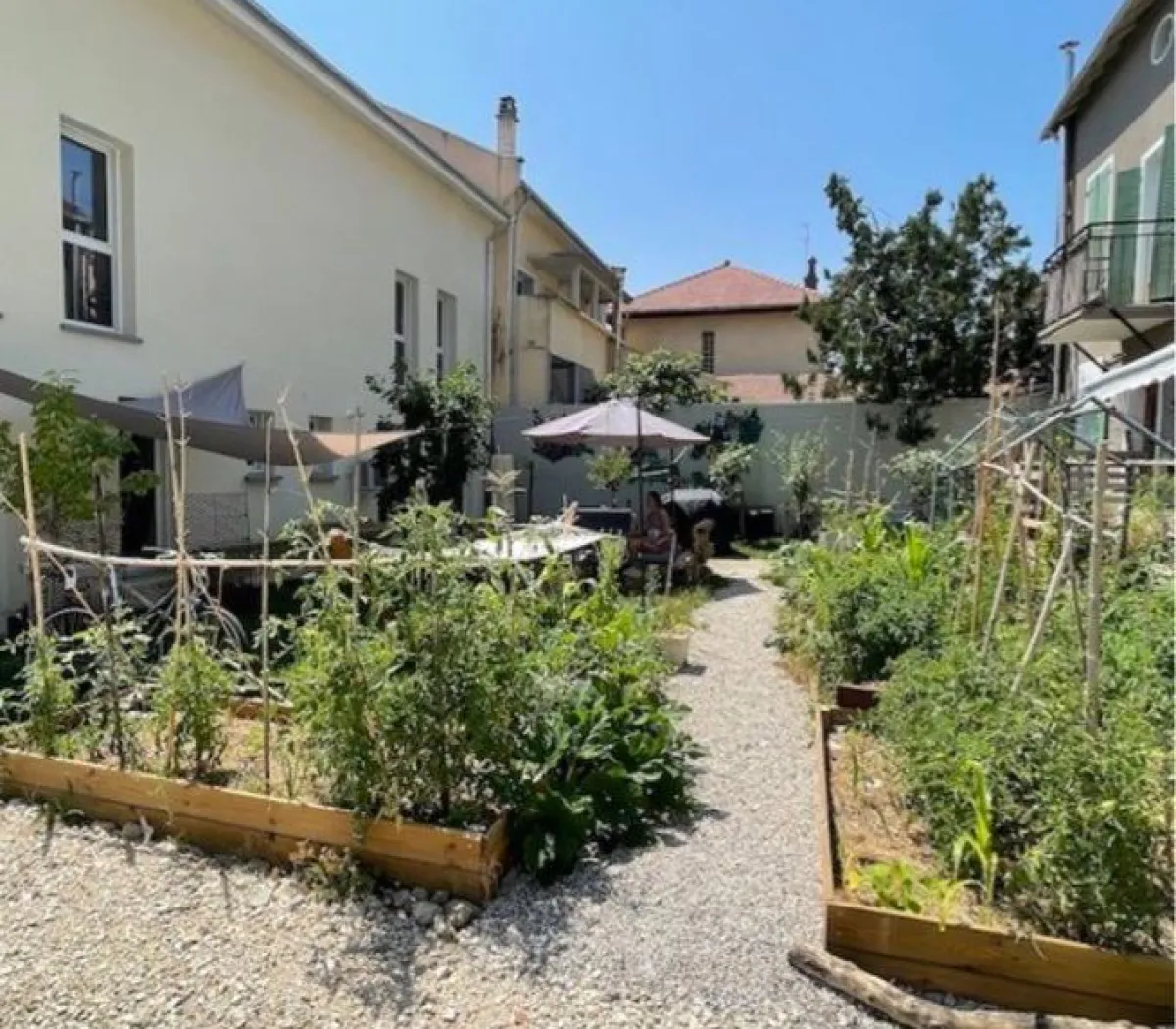 Location Villeurbanne Appartement 19673091