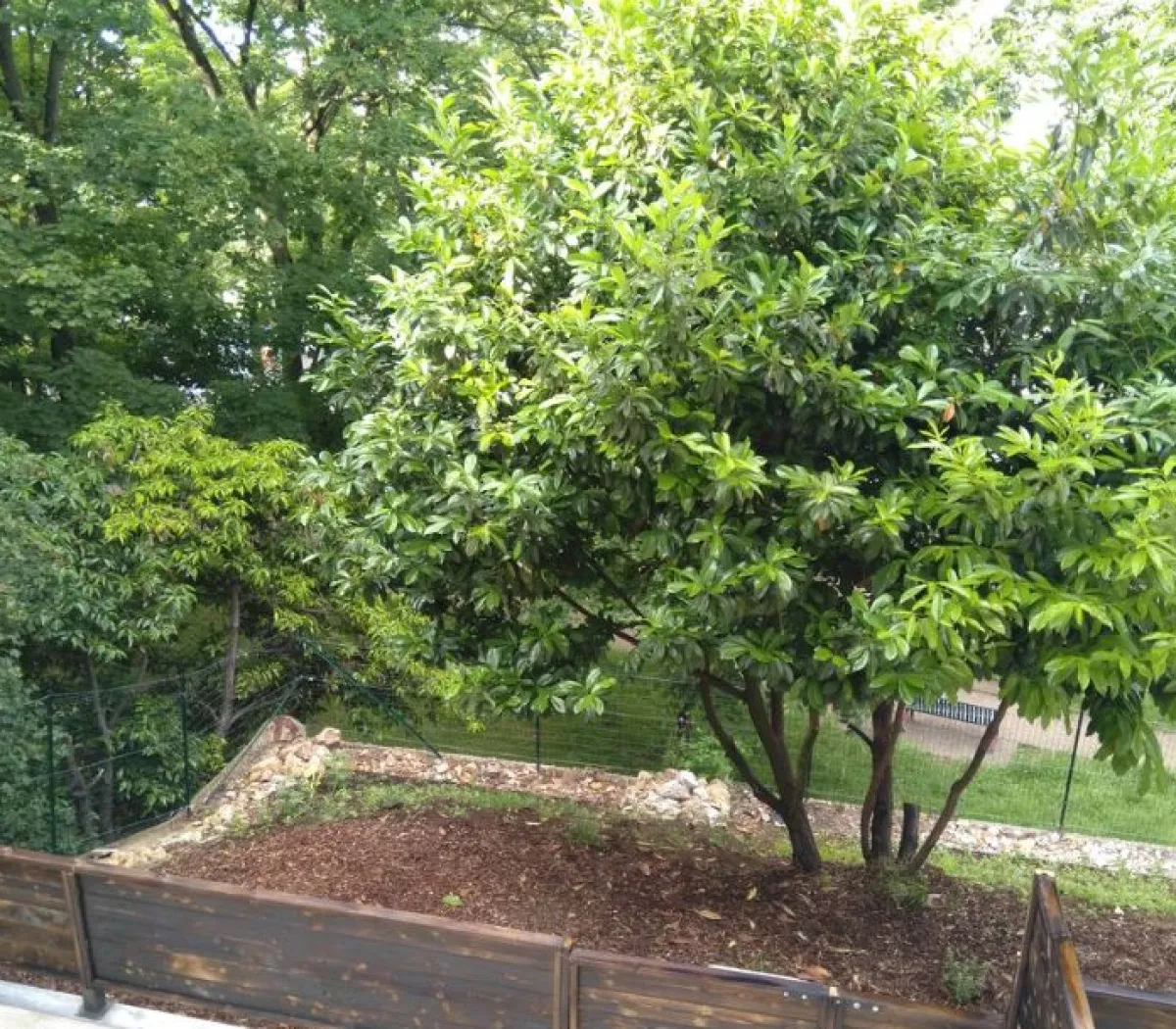 Location Ivry-sur-Seine Appartement 1b754cc1