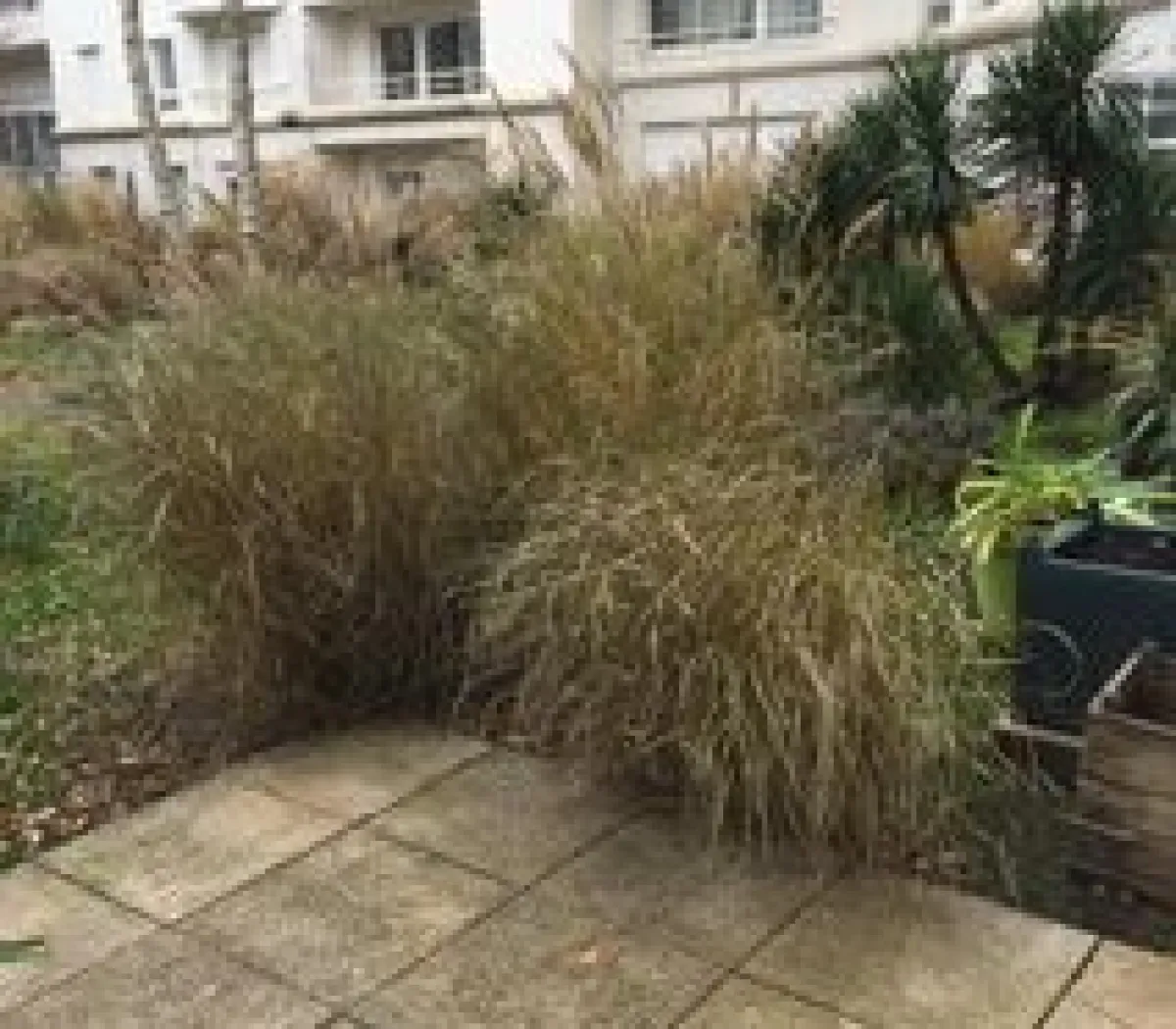 Location Nantes Appartement 1c557517