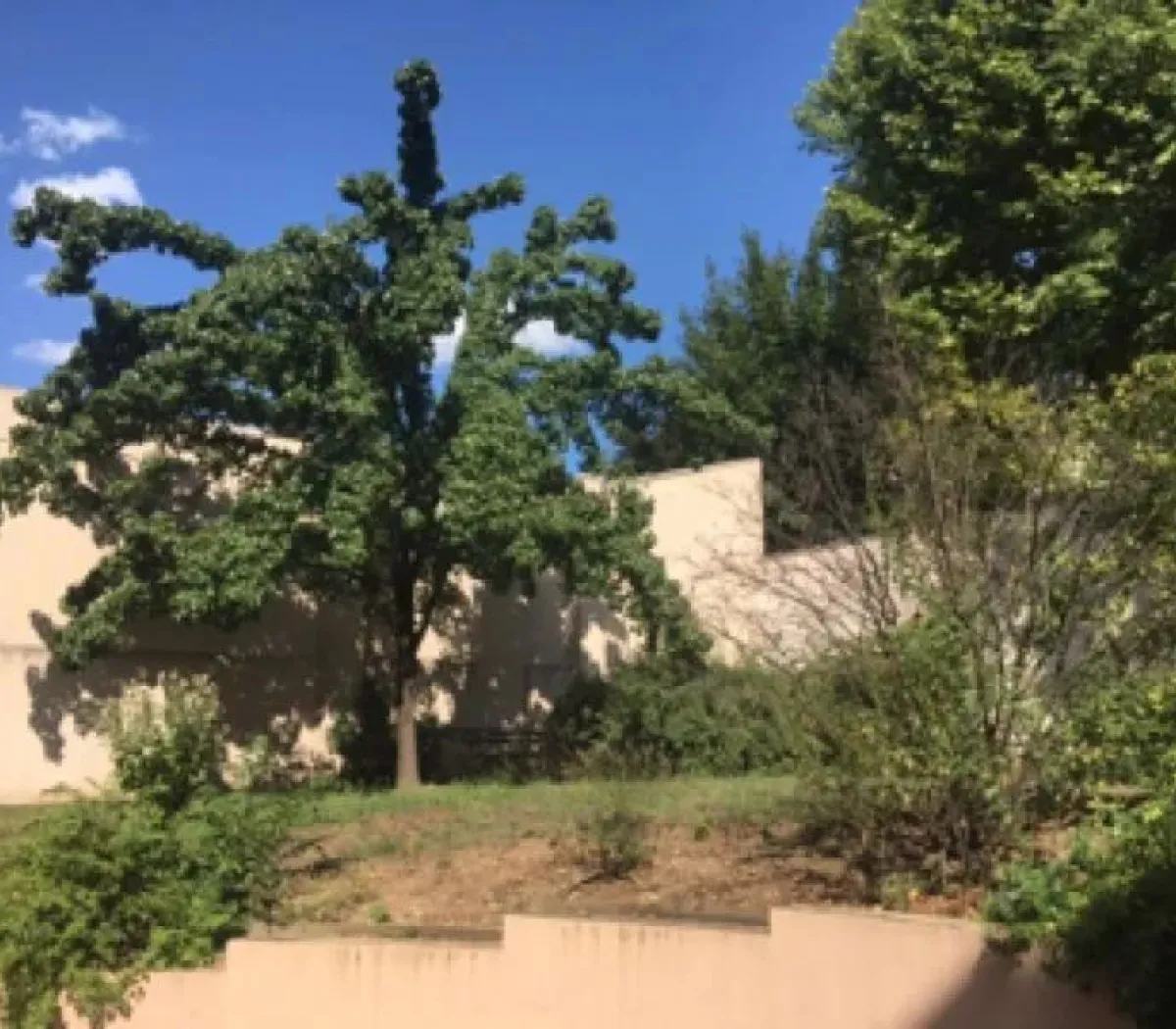 Location Lyon Appartement 1ccc0f29