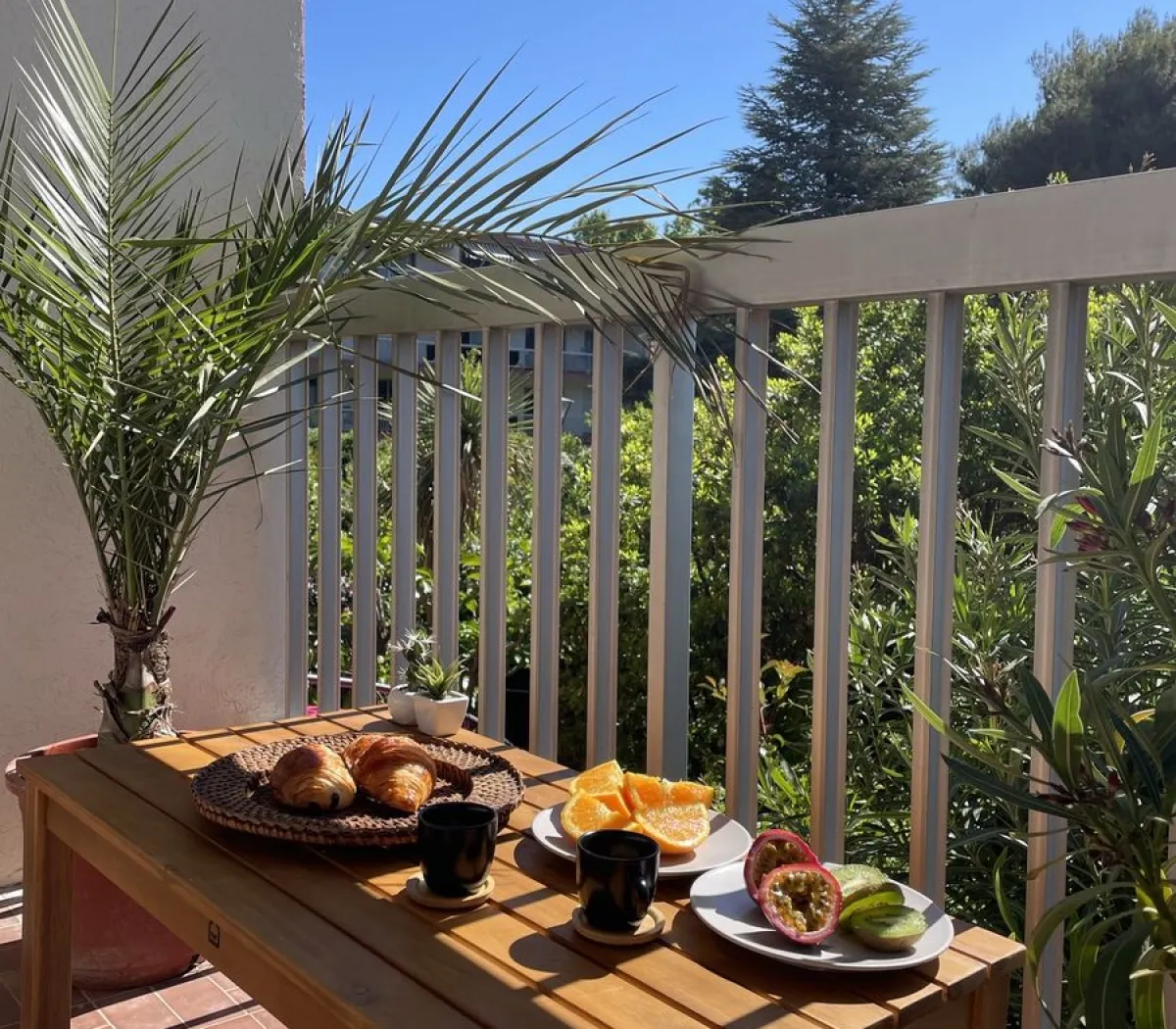 Location Montpellier Appartement 238be756