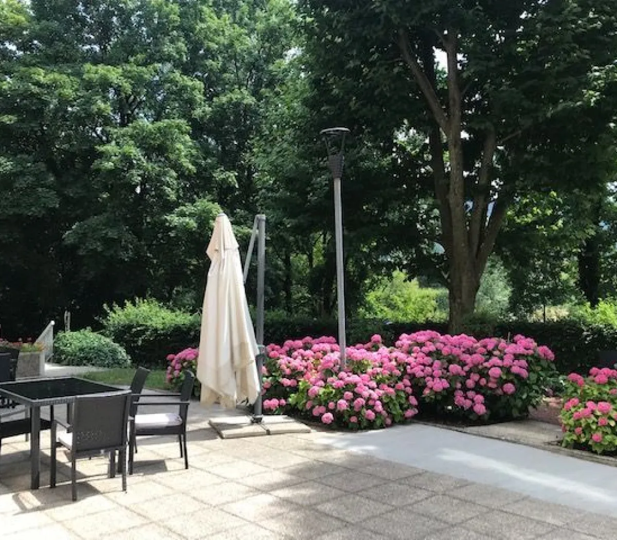 Location Annecy Appartement 26634025