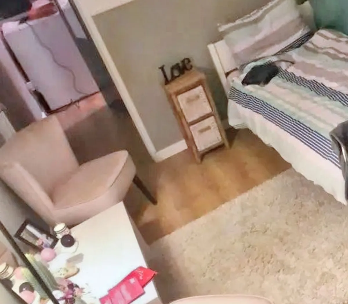 Location Paris Appartement 278a22c7