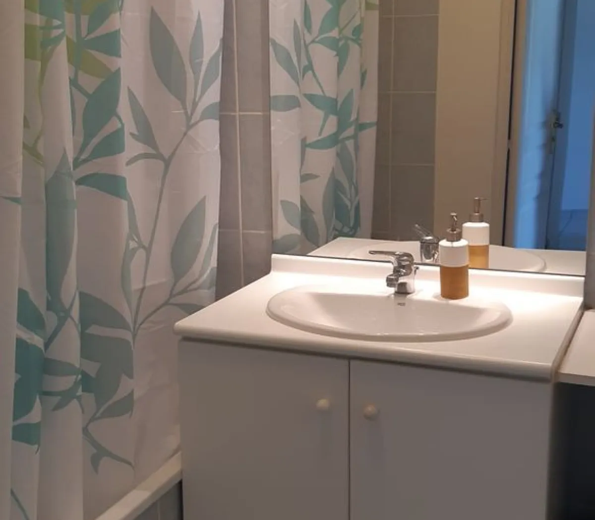 Location Lyon Appartement 28a81f30