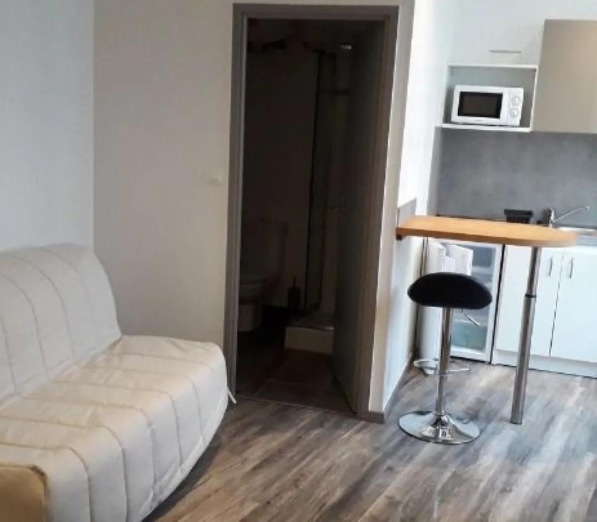 Location Villeurbanne Appartement 291308e2