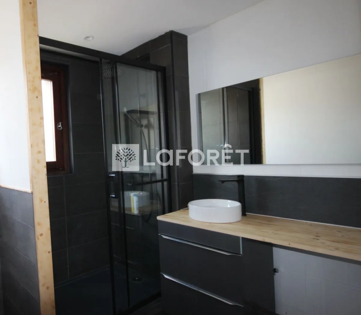 Location Albertville Appartement 2c166055