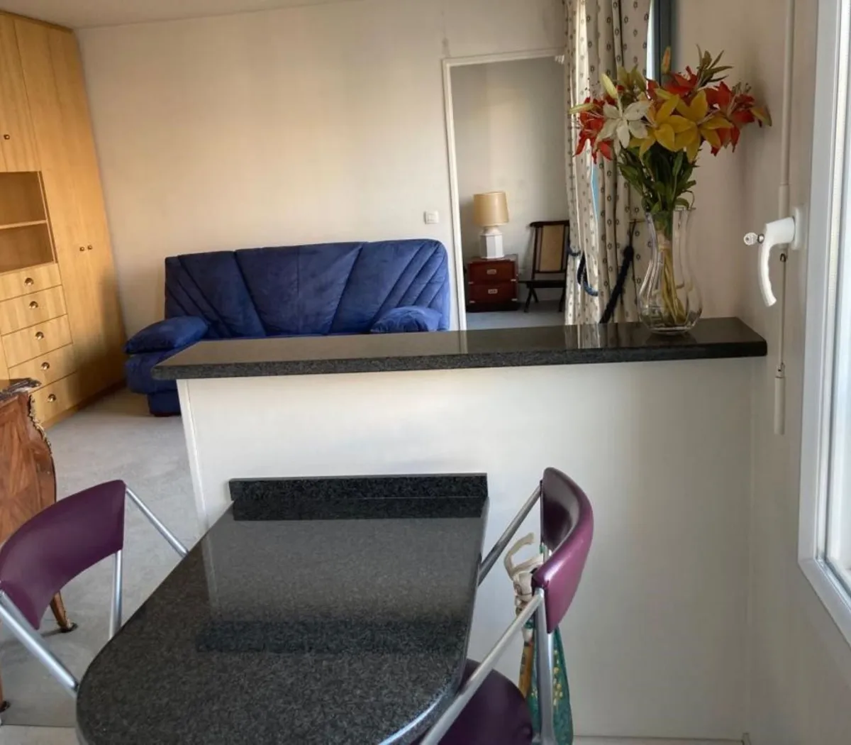 Location Puteaux Appartement 2e3c449f