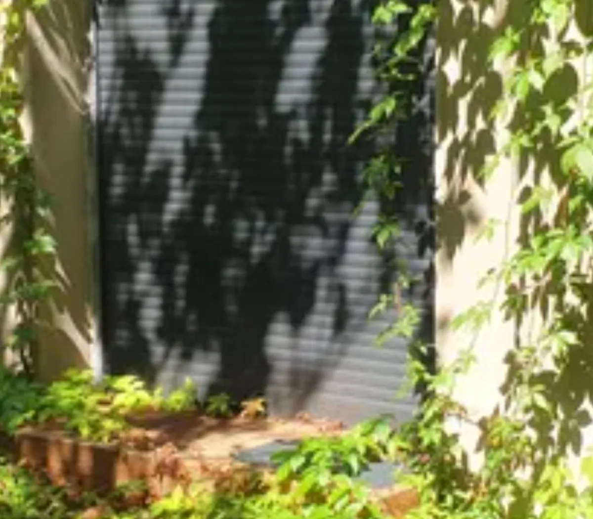 Location Strasbourg Appartement 2fb4e42d