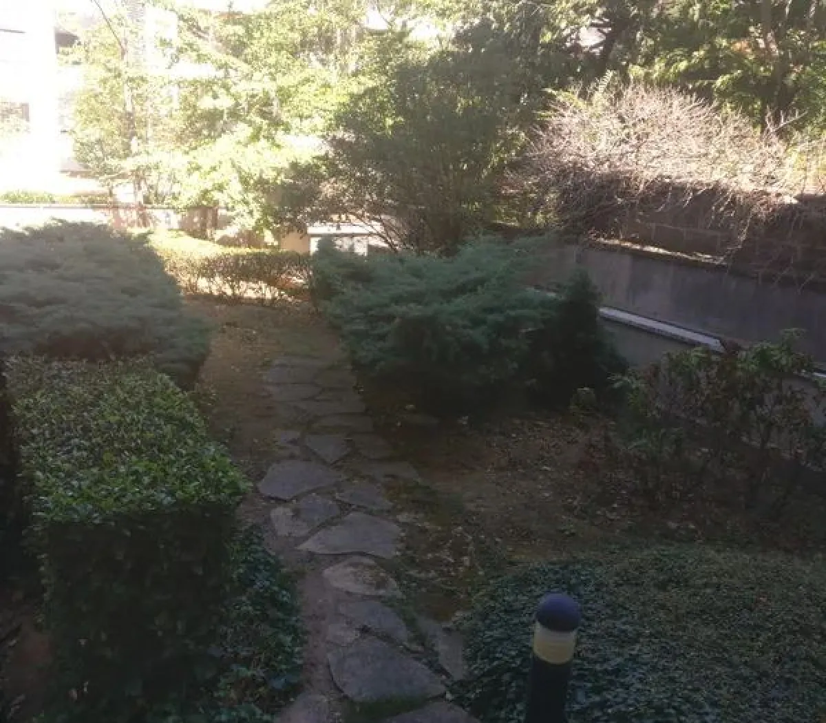 Location Lyon Appartement 31d3185f