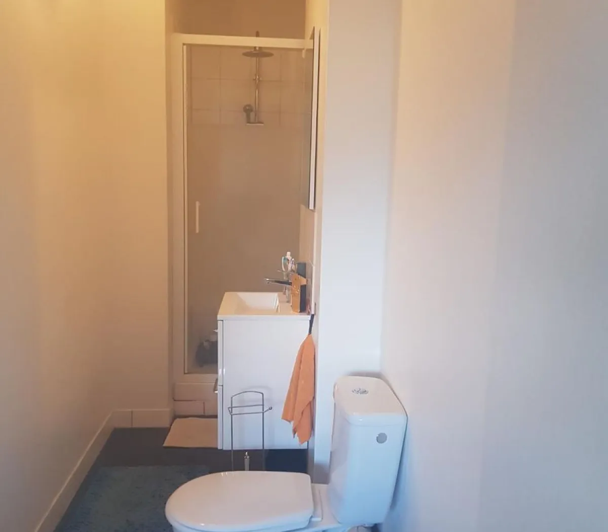 Location Lille Appartement 3cce9477