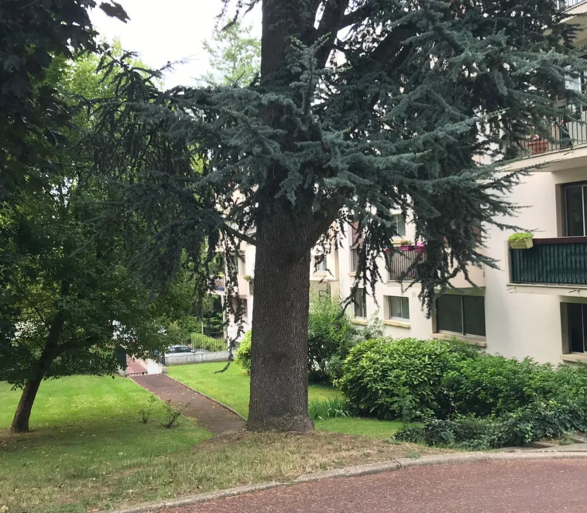 Location Marly-le-Roi Appartement 3e1d962e