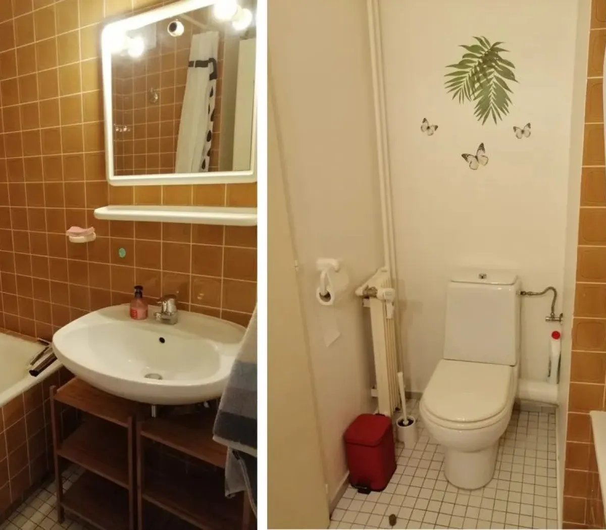 Location Strasbourg Appartement 3f61ba6b
