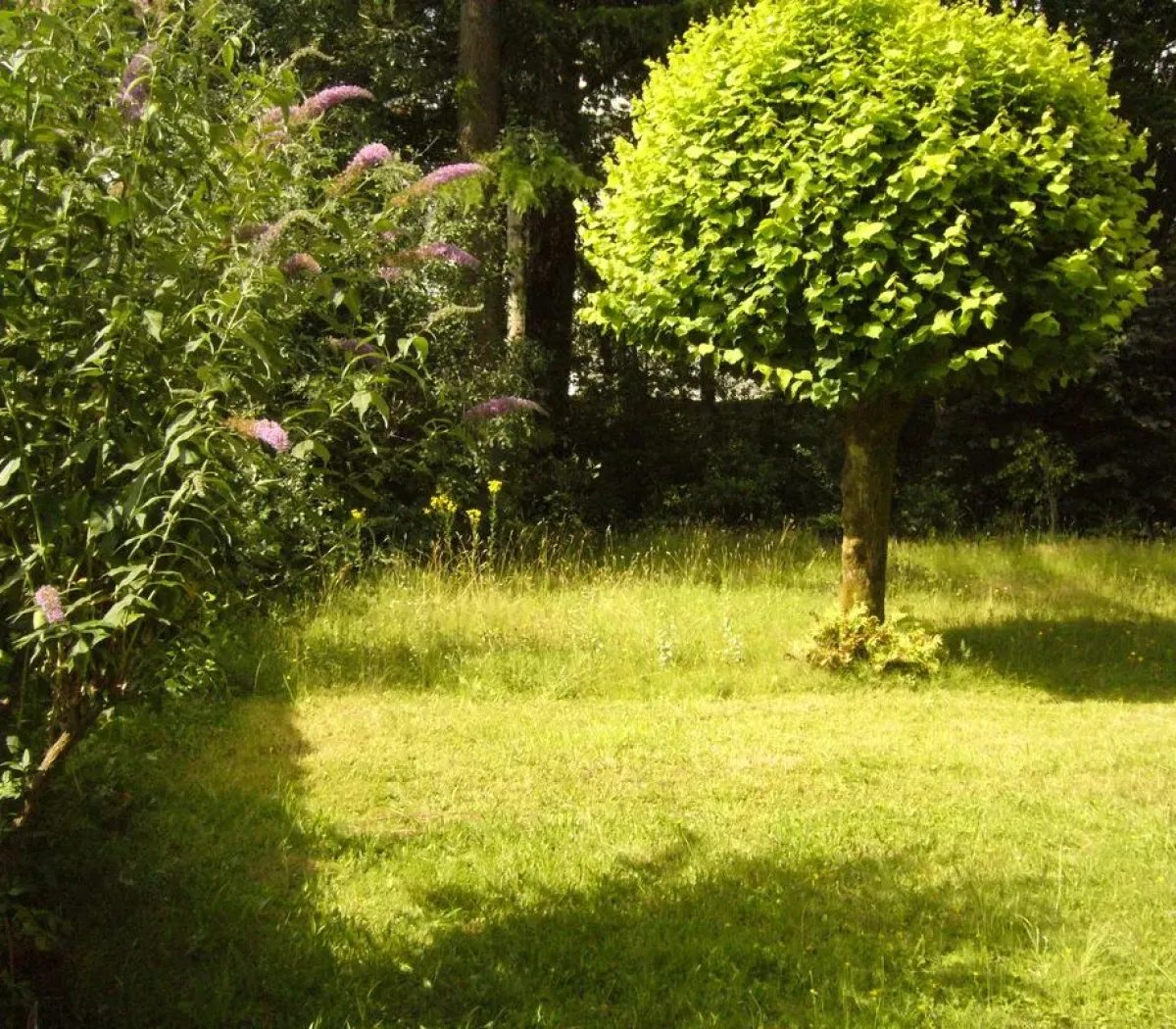 Location Nantes Appartement 445e32ab