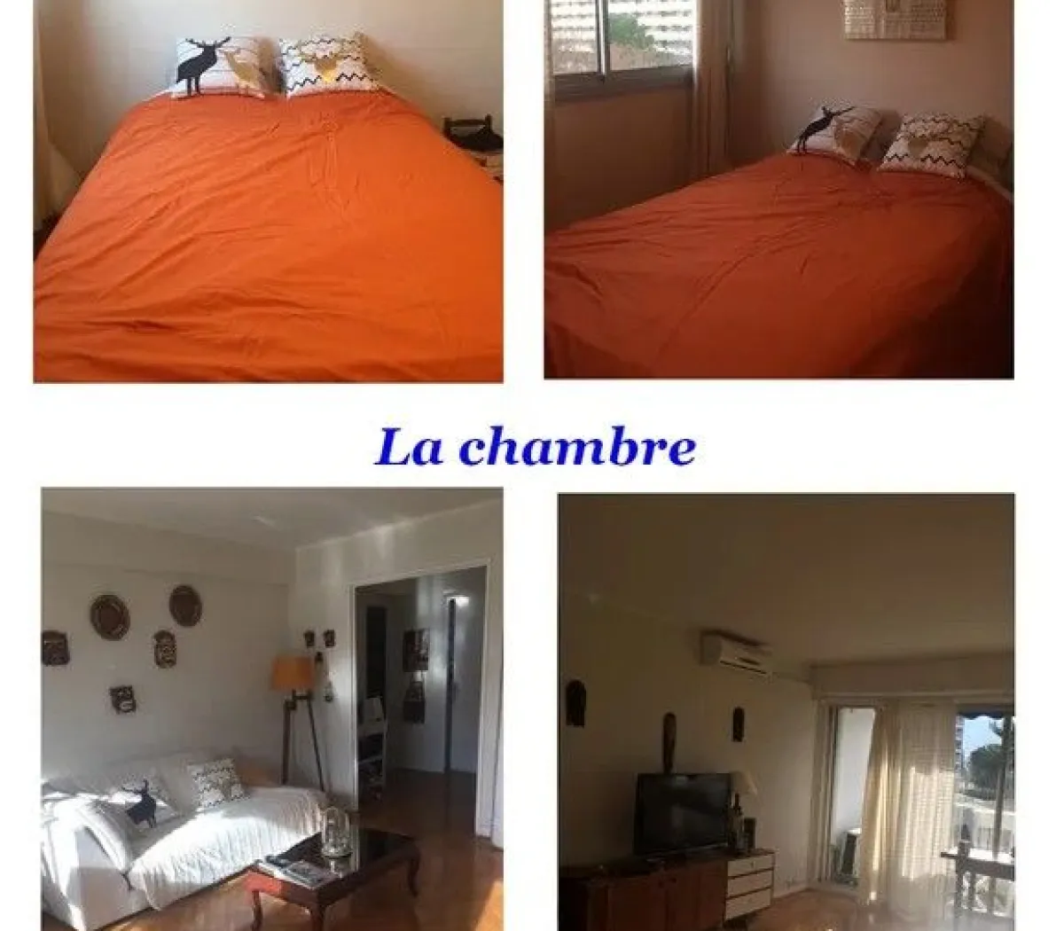 Location Marseille Appartement 4af0f53e
