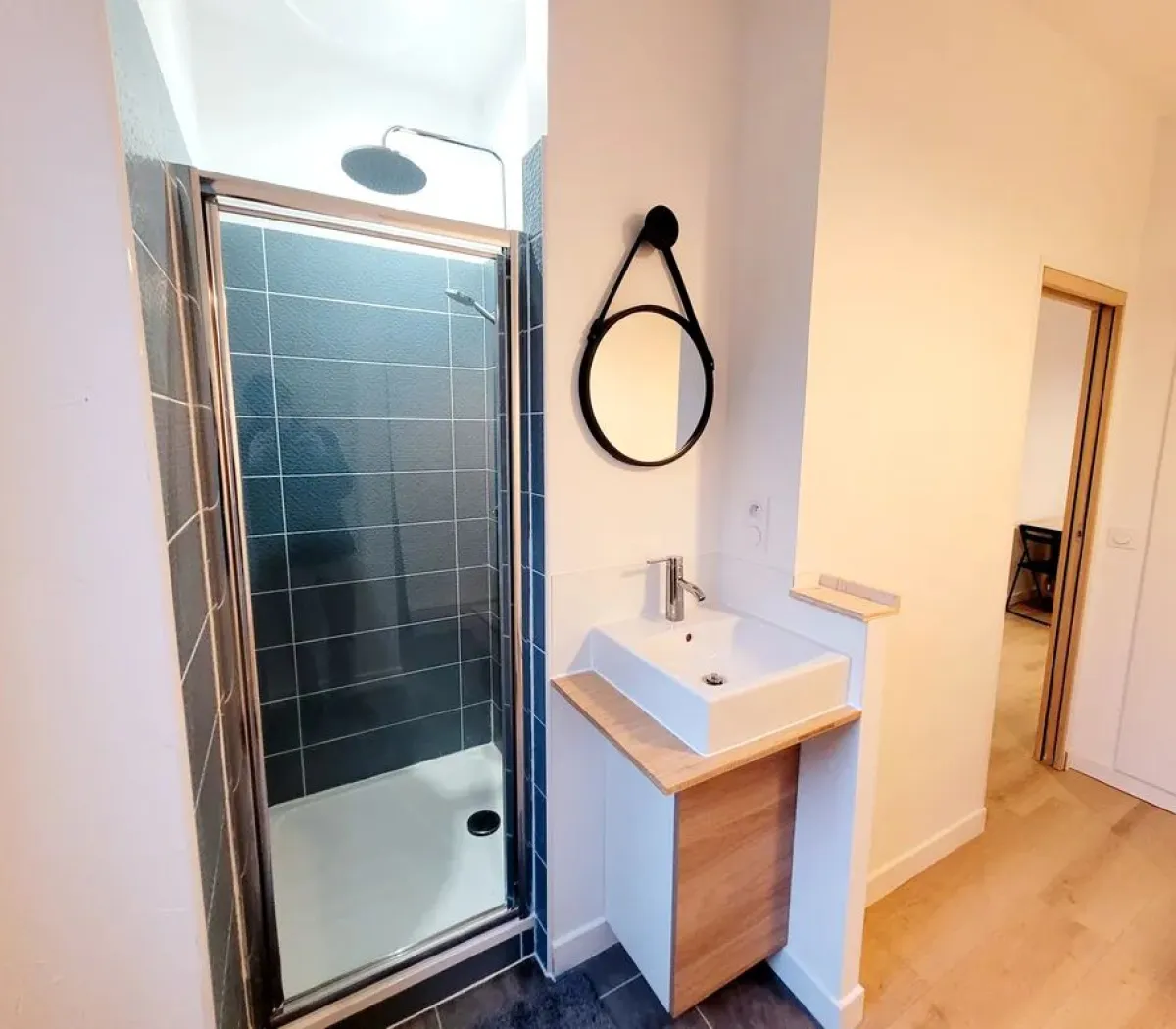 Location Grenoble Appartement 4c75a662