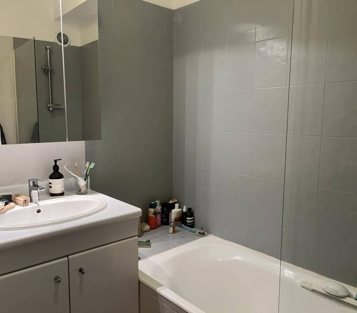 Location Toulouse Appartement 5021e697