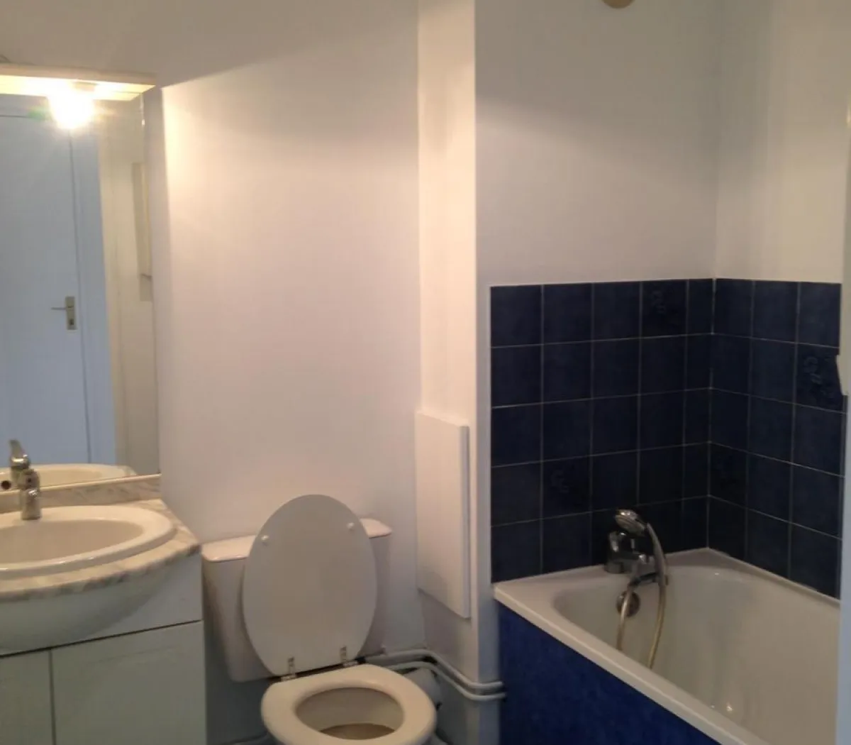 Location Toulouse Appartement 503f94d6