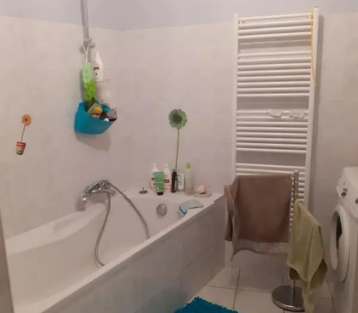 Location Ceyzériat Appartement 55af8c60