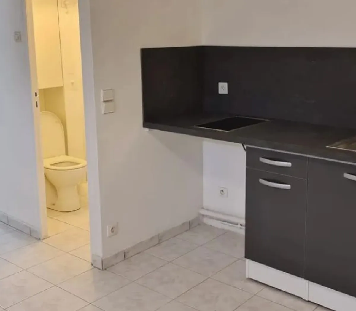 Location Ivry-sur-Seine Appartement 59c17dcb