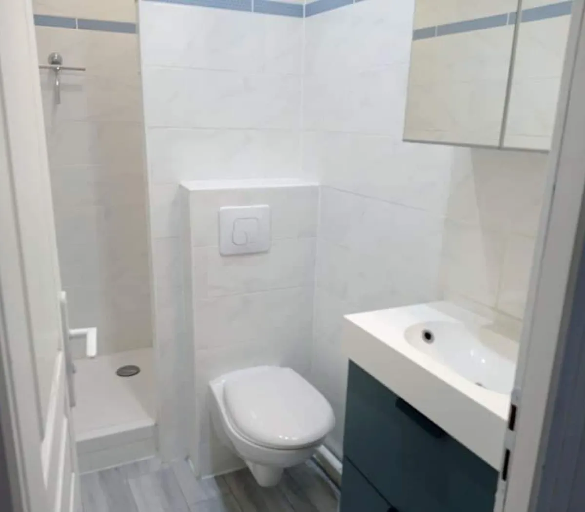 Location Villeurbanne Appartement 5adf2e33