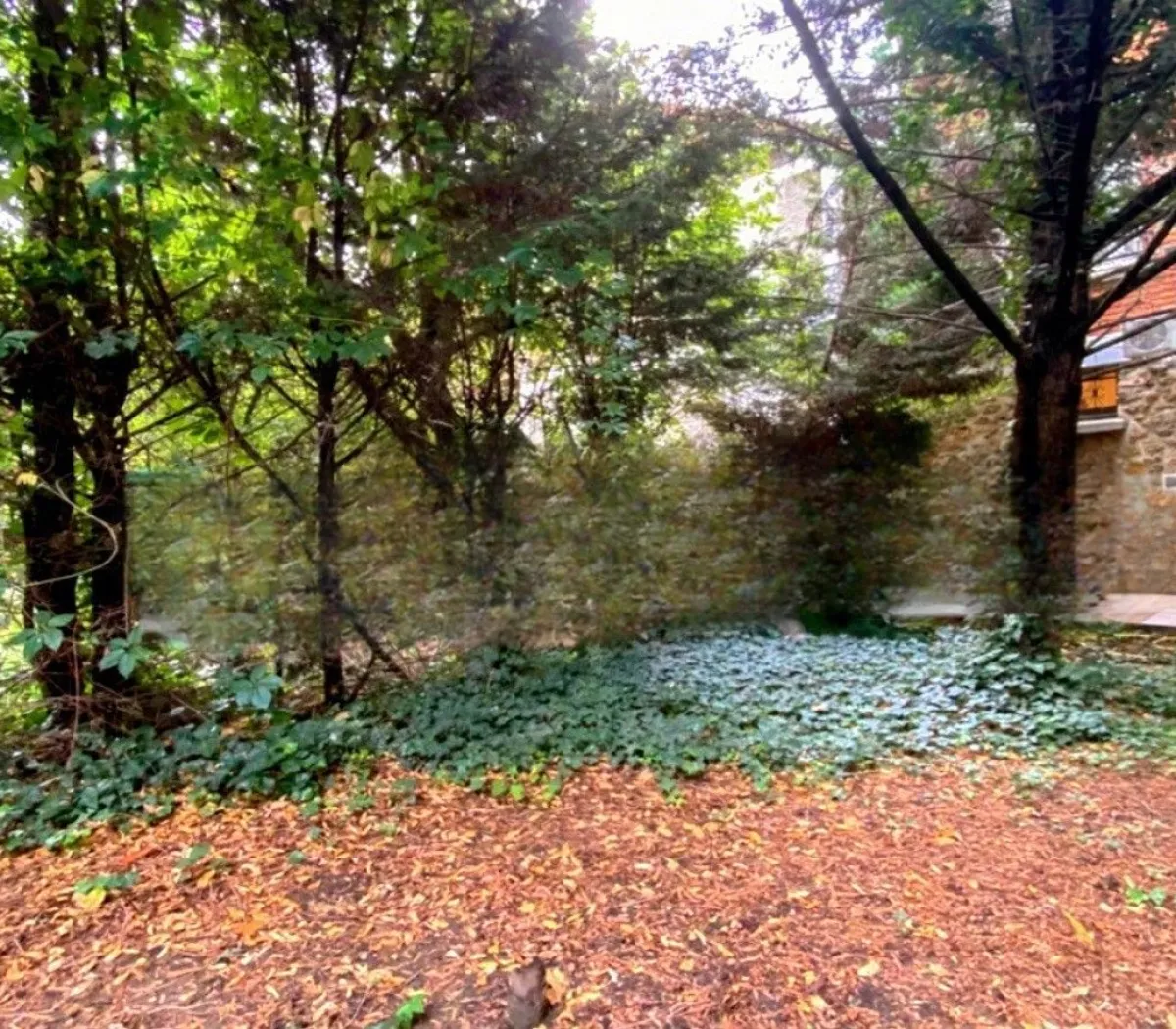 Location Bagneux Maison 5ca1b81d