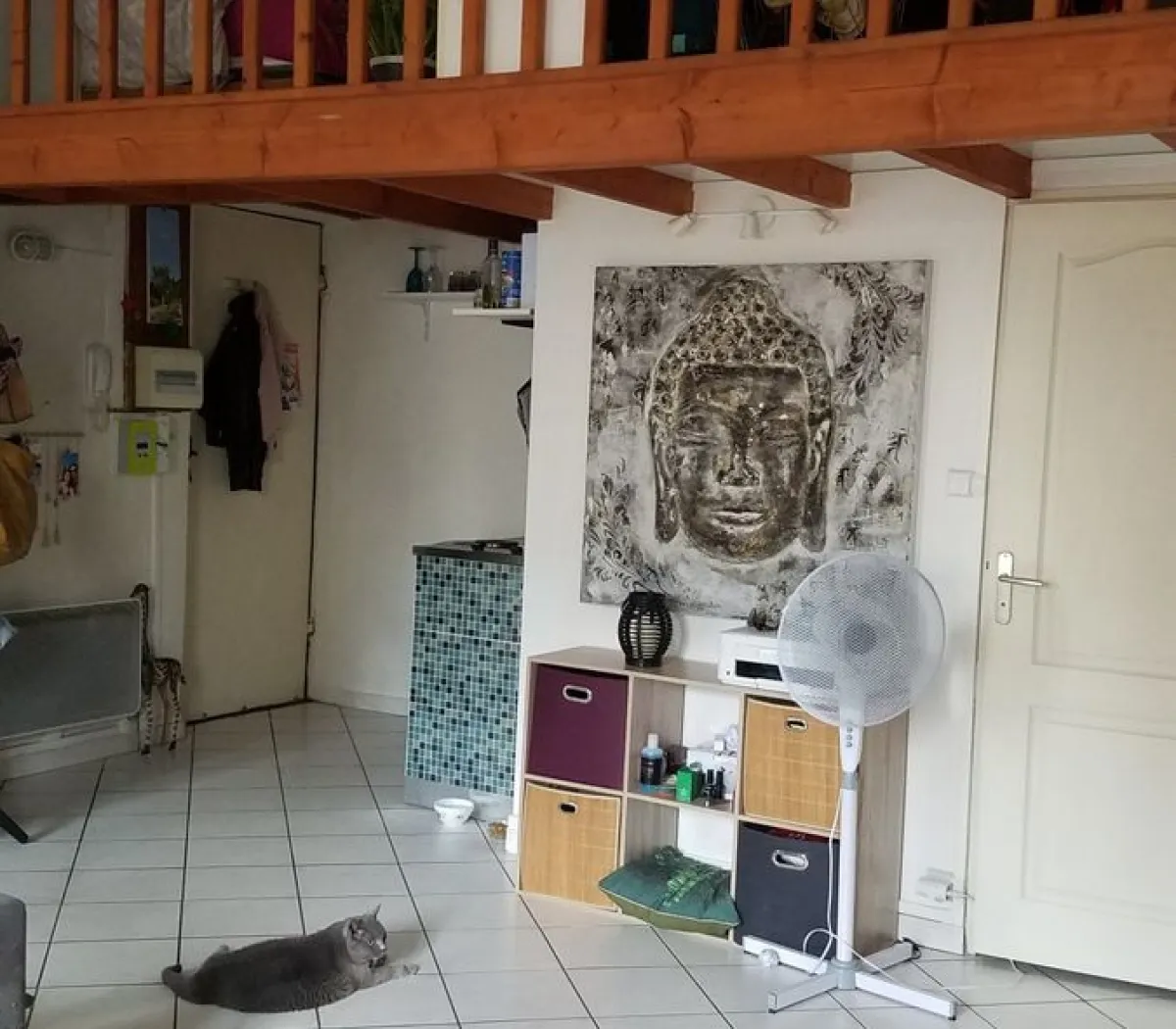 Location Lyon Appartement 5ede7f64