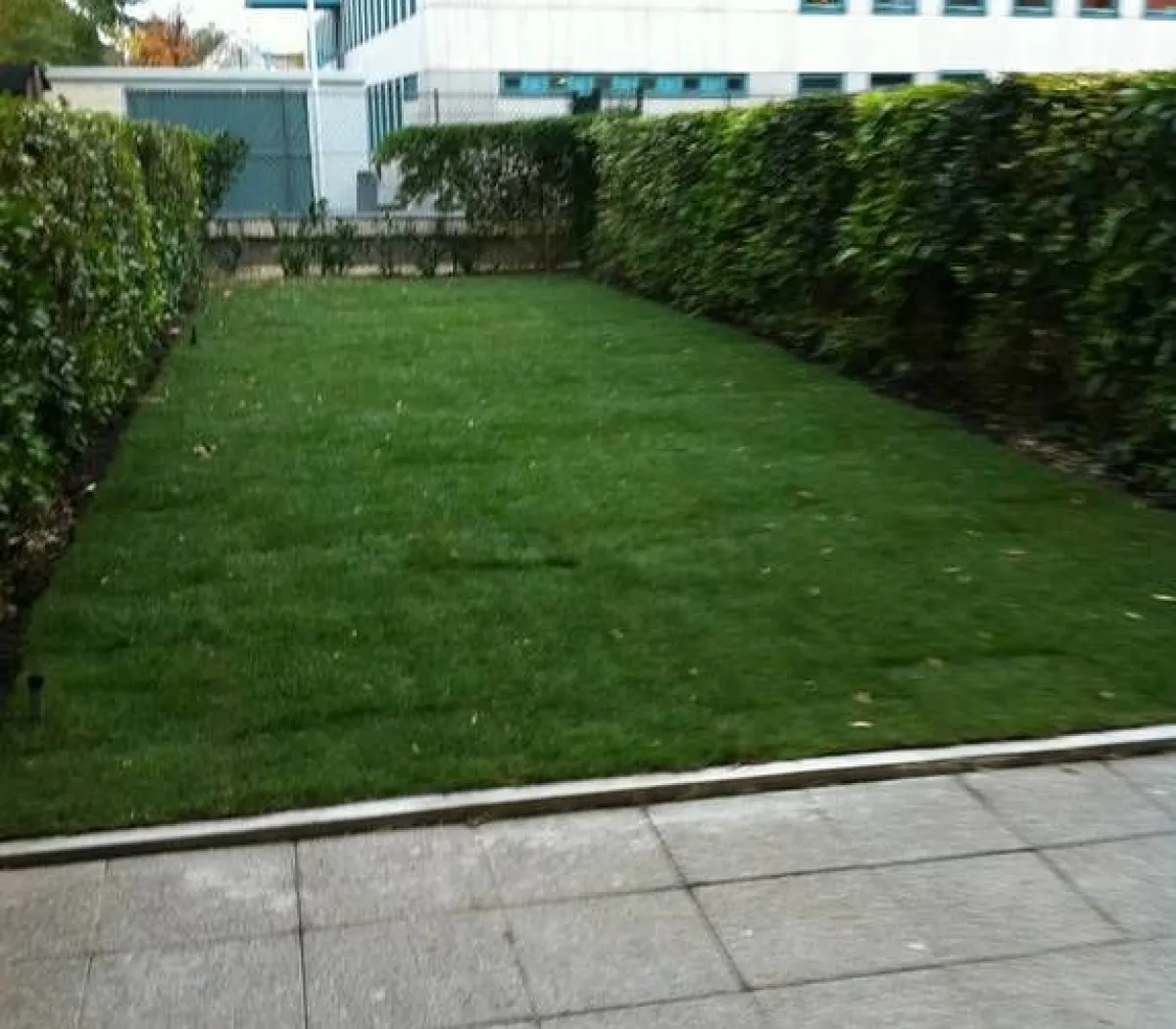 Location Rueil-Malmaison Appartement 60e69b2b