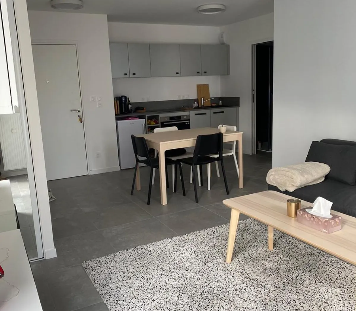 Location Lyon Appartement 6107a511