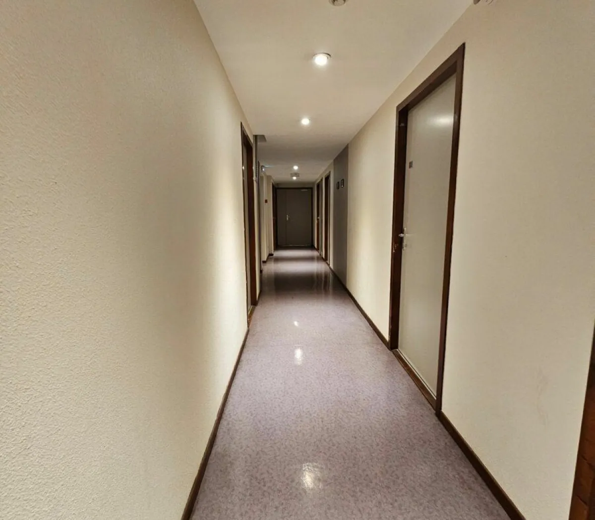 Location Saint-Étienne Appartement 623a671c