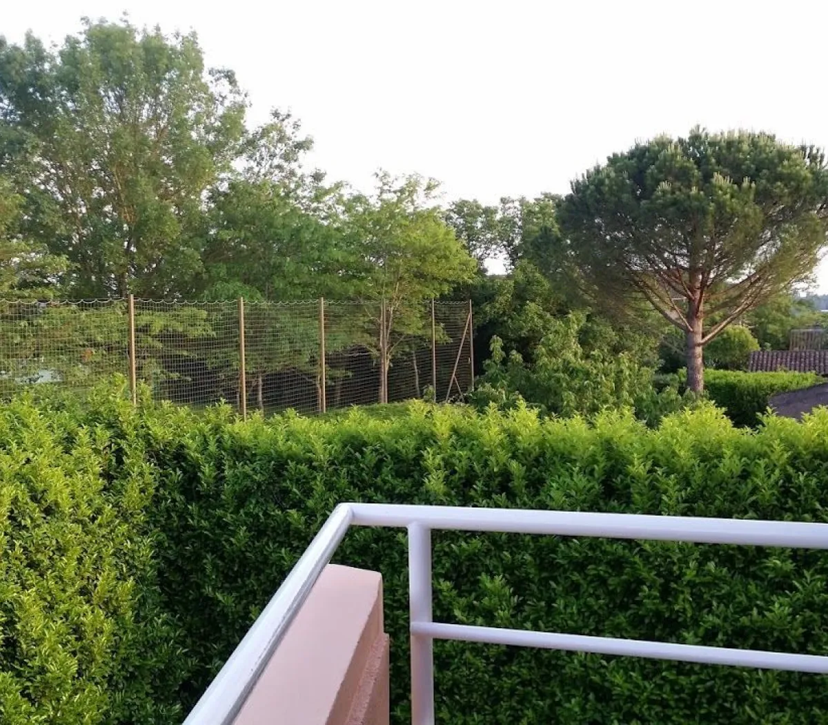 Location Toulouse Appartement 633125c0