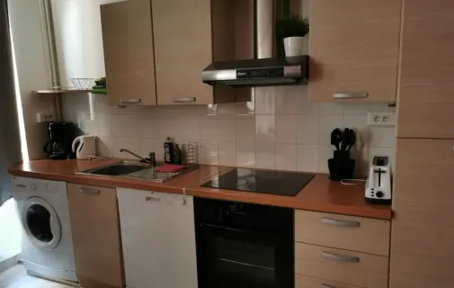 Location Lyon Appartement 64834380
