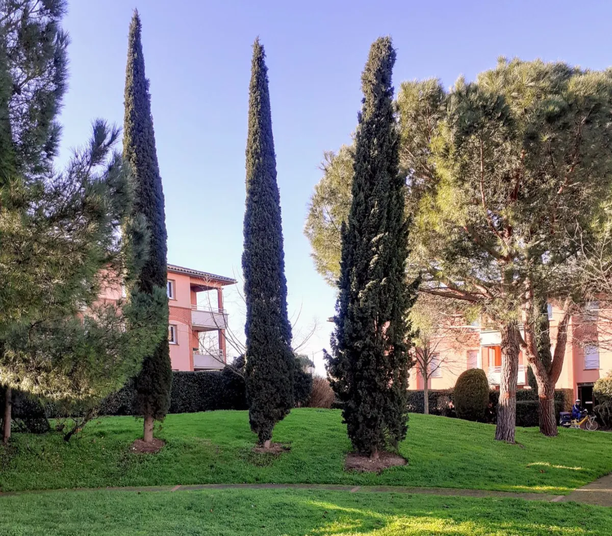 Location Toulouse Appartement 64b4614d