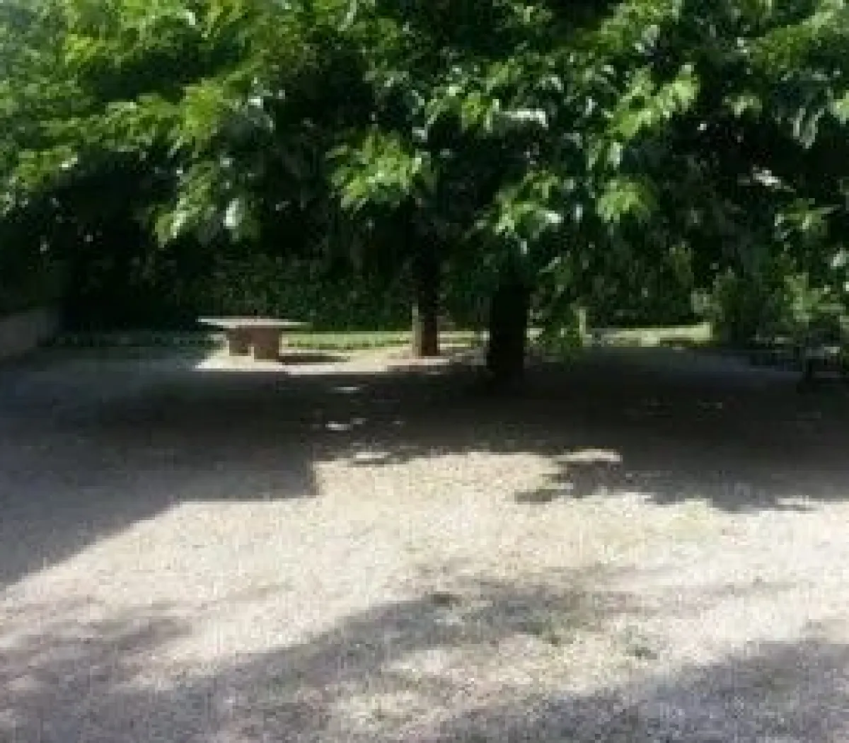 Location Grenoble Appartement 6545e889