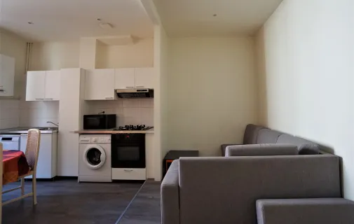 Location Lyon Appartement 668d4f1729da