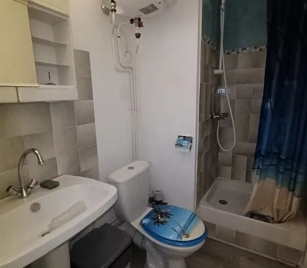 Location Grenoble Appartement 668fe2ee341e